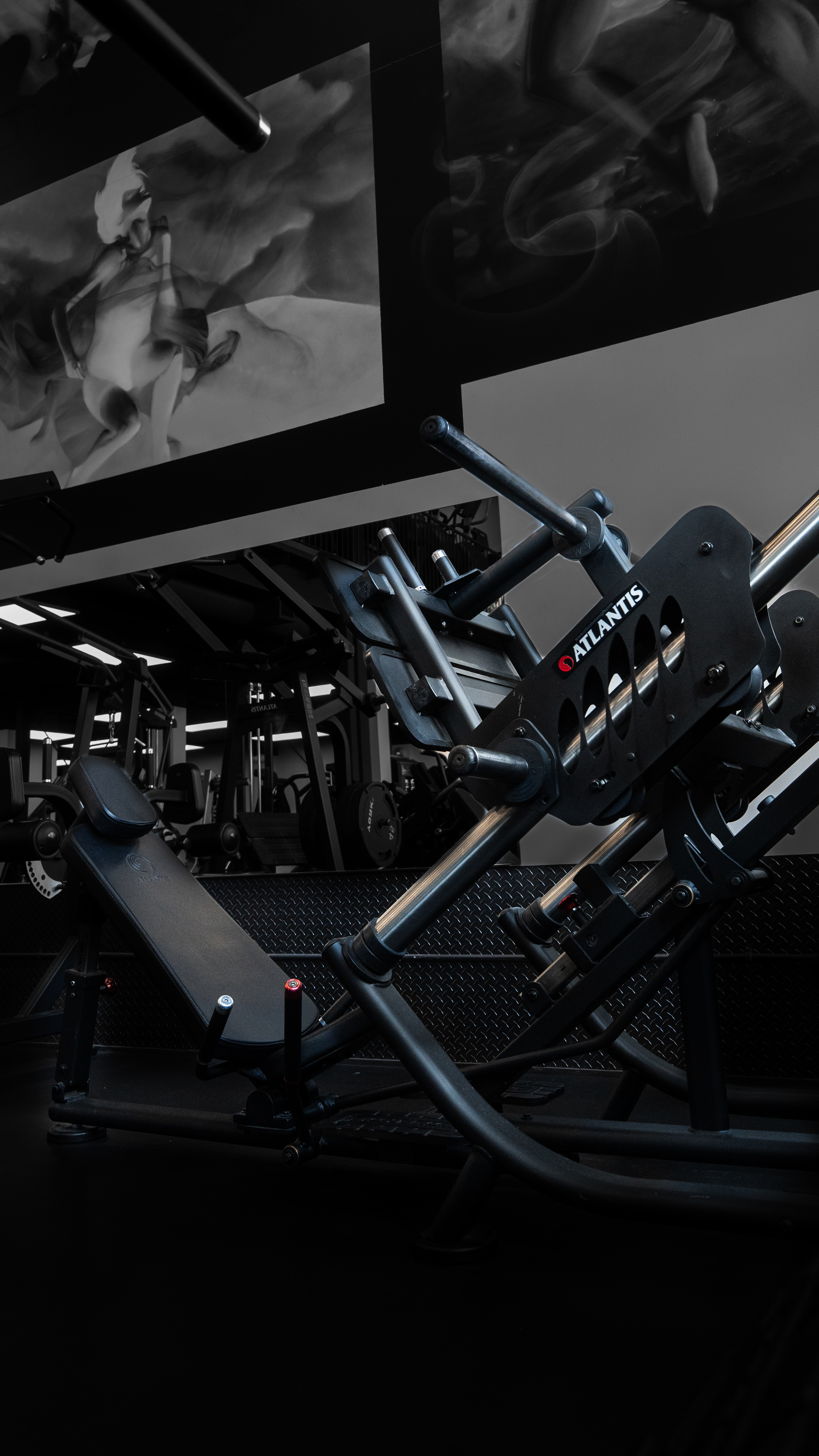 Atlantis Strength equipment at Iron Lore Gym