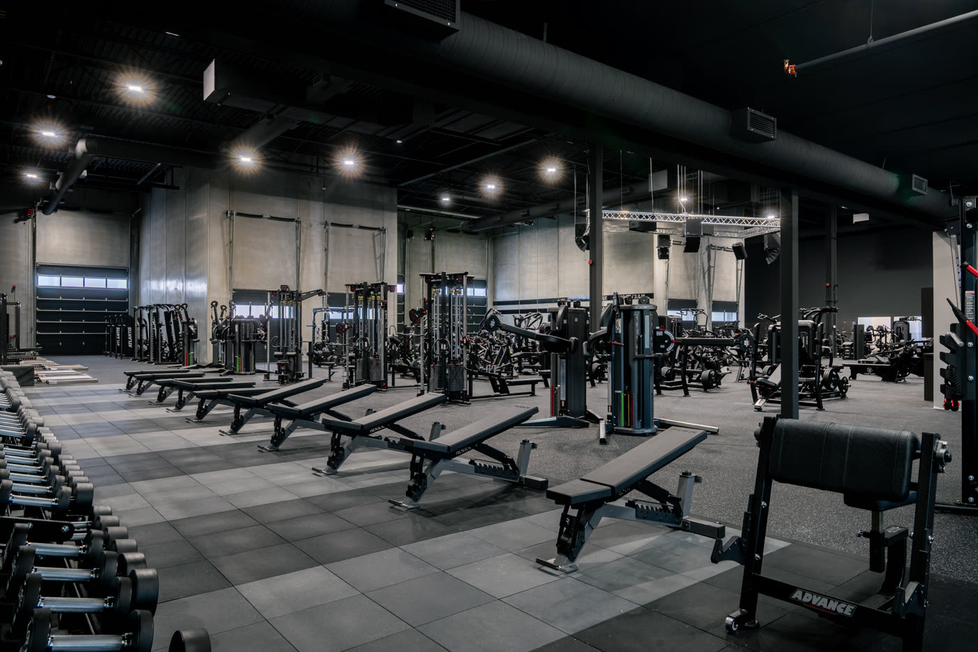 Iron Lore Gym Edmonton — dumbbell and free-weight area with benches and functional trainers