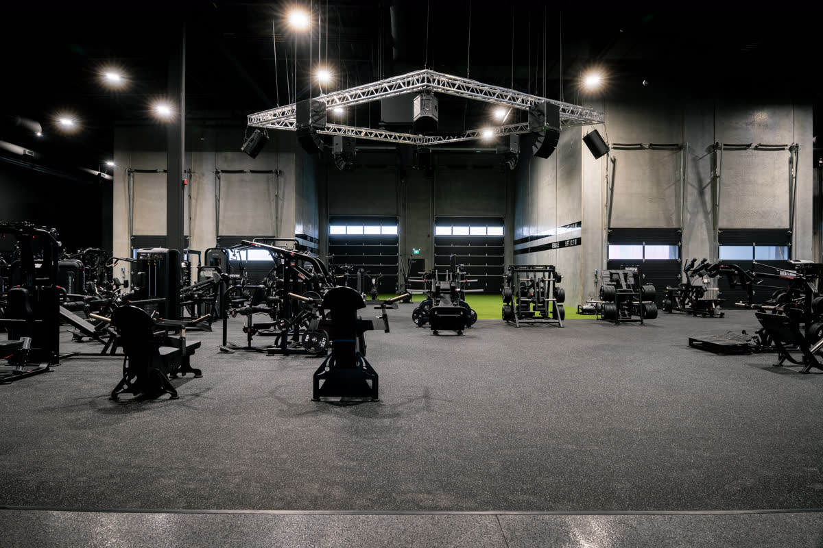 Iron Lore Gym Edmonton — plate-loaded machines with wall-ball height markers