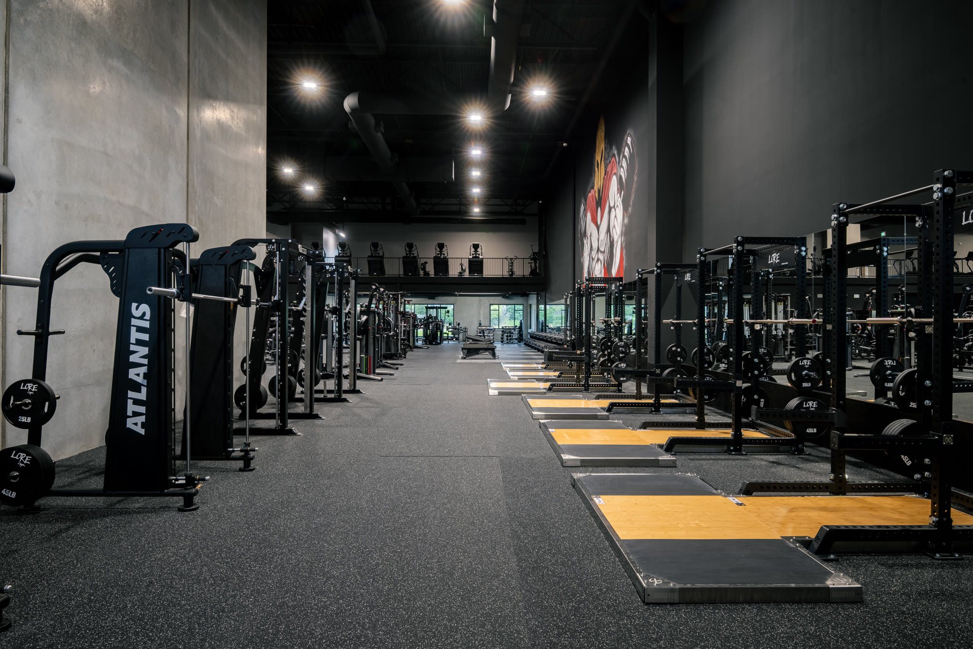 Iron Lore Gym Edmonton — real photo of the finished squat rack row