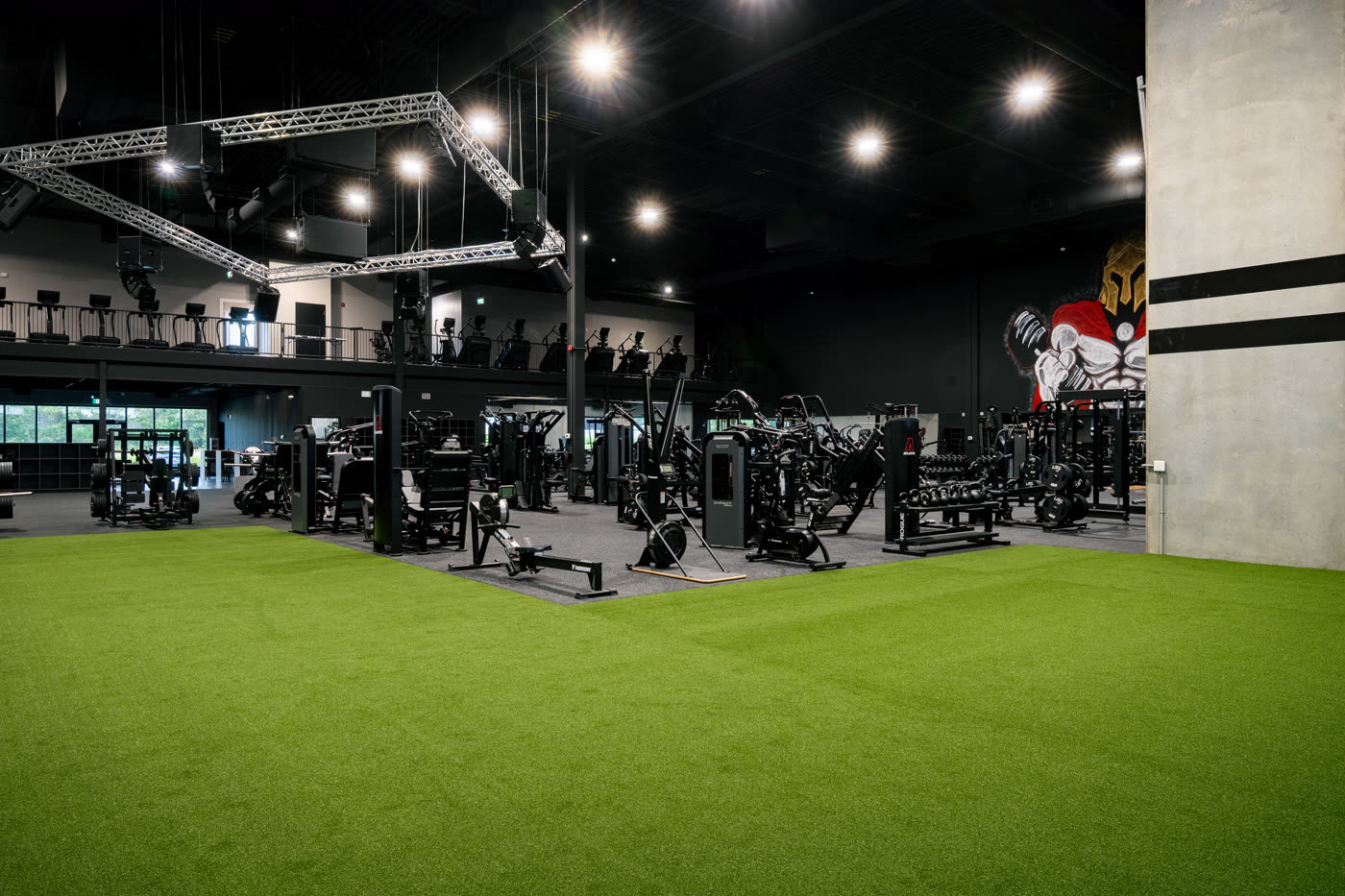 Iron Lore Gym Edmonton — turf functional training zone, second angle